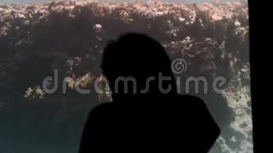一个未被认出的小男孩的剪影靠近水下游客<strong>浴帽</strong>的大观察窗。 与同